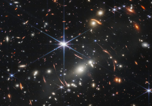 Exploring the World of Modern Day Stars